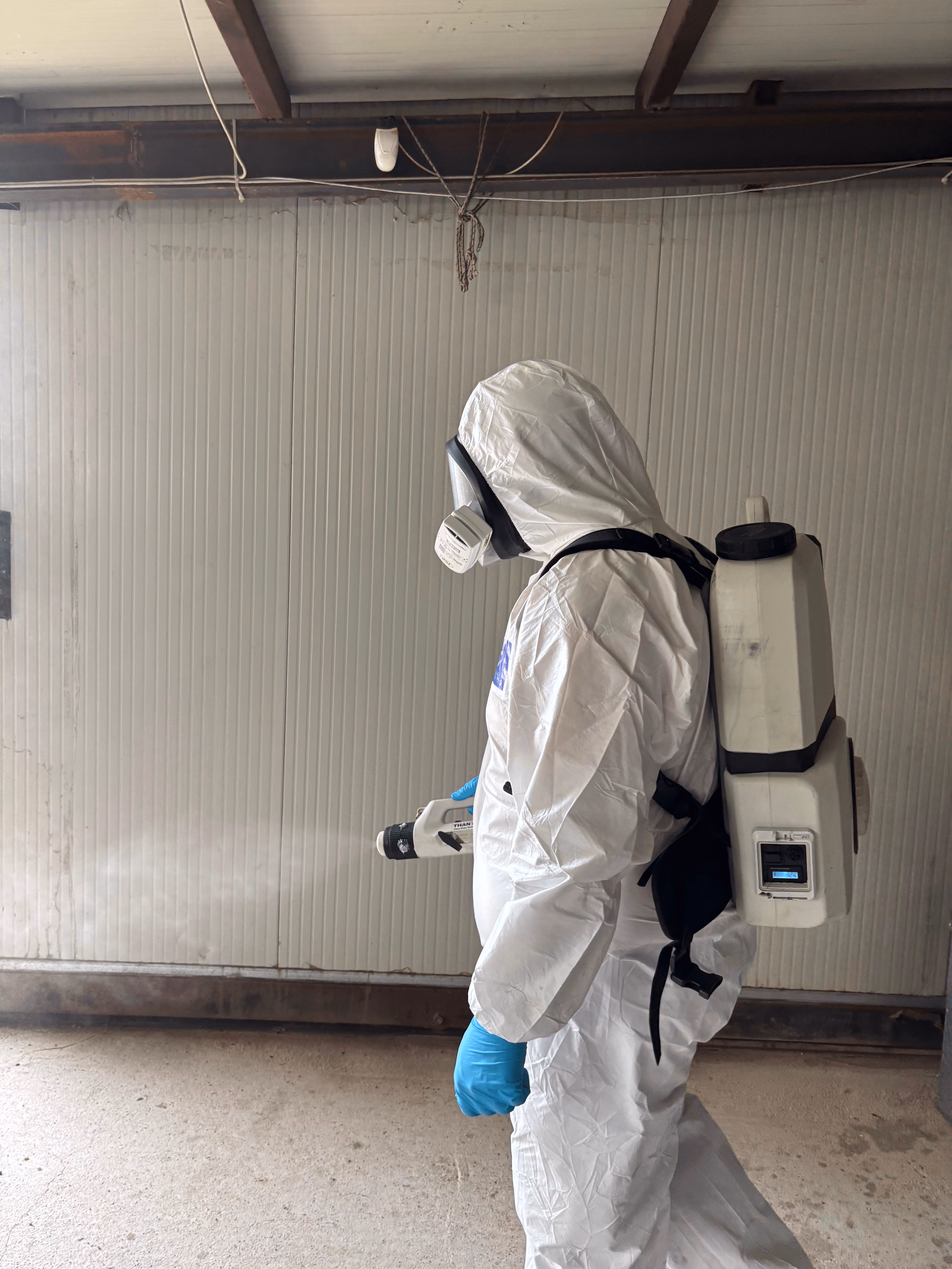 Technician checking the outcome of a pest control treatment