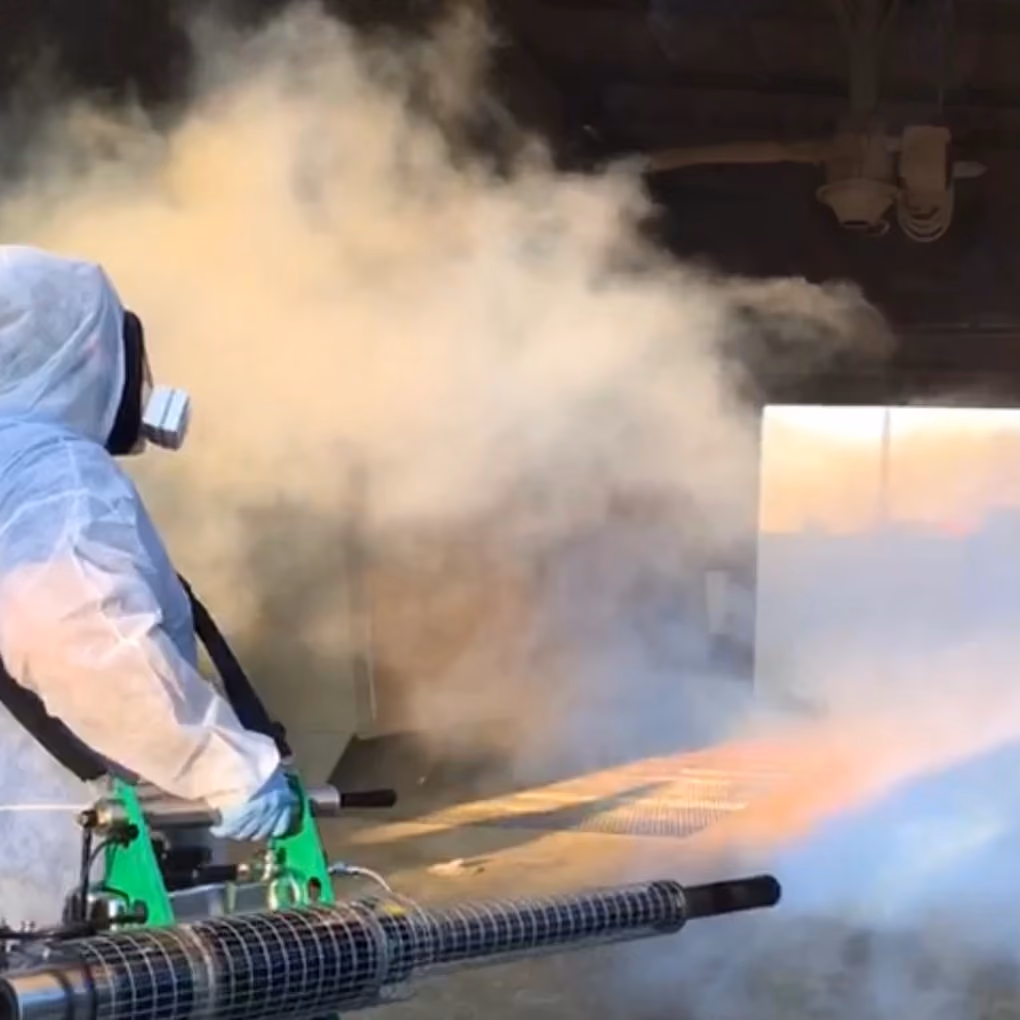 Professional fogging during a sanitization intervention